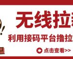 最新接码无限拉新项目，利用接码平台赚拉新平台差价，轻松日赚500+-瀚海资源库