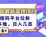 东方财富最新变现项目，利用接码平台拉新，多号多撸，日入几百无压力-瀚海资源库