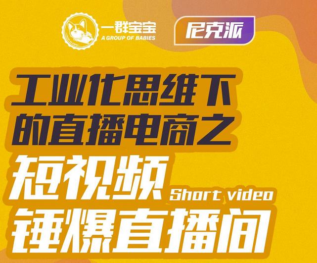 尼克派·工业化思维下的直播电商之短视频锤爆直播间，听话照做执行爆单-瀚海资源库