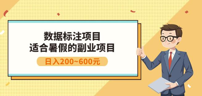副业赚钱：人工智能数据标注项目，简单易上手，小白也能日入200+-瀚海资源库