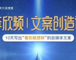李欣频|文案创造课，0基础可报10天写出“看到就想转”的自媒体文案-瀚海资源库