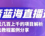 抖音最新蓝海直播玩法,3分钟赚30元,一天轻松1000+,只要你去直播就行【详细玩法教程】-瀚海资源库