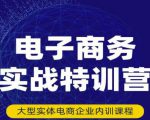 民赛电气内部出品：电子商务实战特训营，全方位带你入门电商，308种方式玩转电商-瀚海资源库