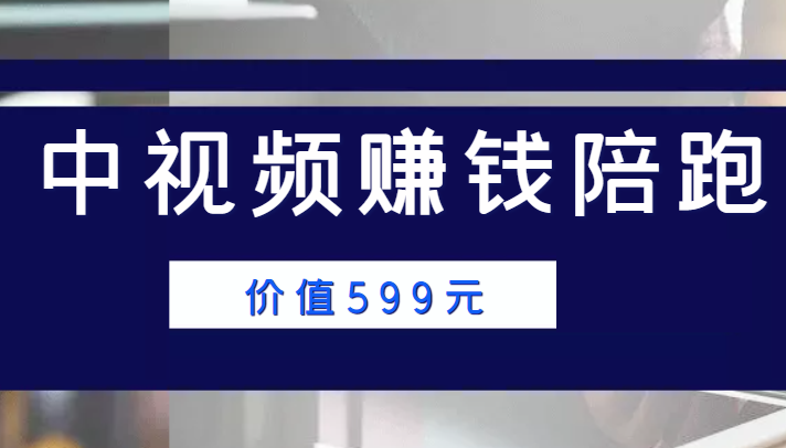 中视频赚钱陪跑，卖中视频账户赚钱收益陪跑项目（价值599元）-瀚海资源库