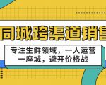 同城跨渠道销售，专注生鲜领域，一人运营一座城，避开价格战-瀚海资源库