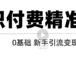 玩转知识付费项目精准引流，给你1套课多账号操作落地方案！-瀚海资源库