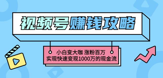 玩转微信视频号赚钱：小白变大咖涨粉百万实现快速变现1000万的现金流-瀚海资源库