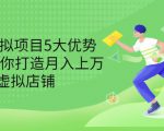 拆解虚拟项目5大优势，0基础教你打造月入上万虚拟店铺（无水印）-瀚海资源库
