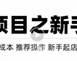 虚拟项目快速起店模式，0成本打造月入几万虚拟店铺！-瀚海资源库