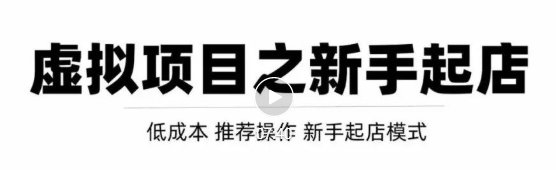 虚拟项目快速起店模式，0成本打造月入几万虚拟店铺！-瀚海资源库