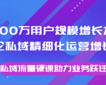 8000万用户规模增长方法论私域精细化运营增长，私域流量硬课助力业务跃迁-瀚海资源库