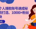 小红书个人爆款账号速成秘籍，爆款打造、10000+粉丝引流秘诀-瀚海资源库