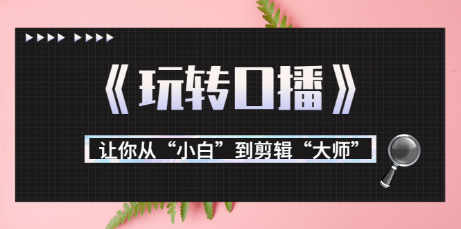 月营业额700万+大佬教您《玩转口播》让你从“小白”到剪辑“大师”-瀚海资源库