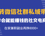 玩转微信社群私域带货，学会就能赚钱的社交电商，在家兼职副业再挣8000+-瀚海资源库