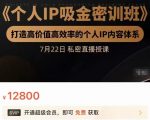 个人IP吸金密训班，打造高价值高效率的个人IP内容体系（价值12800元）-瀚海资源库