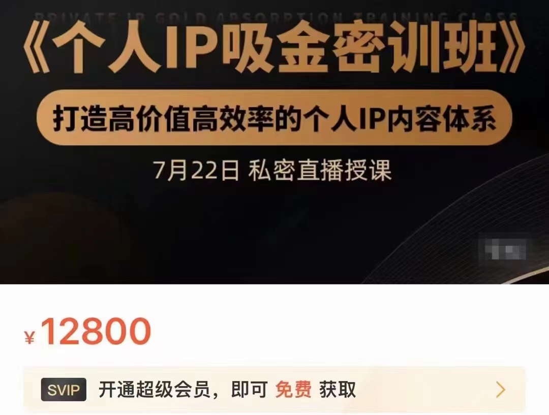 个人IP吸金密训班，打造高价值高效率的个人IP内容体系（价值12800元）-瀚海资源库
