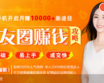 全网千万人气导师亲授：零基础/易上手的朋友圈赚钱攻略，让你轻松月入过万-瀚海资源库