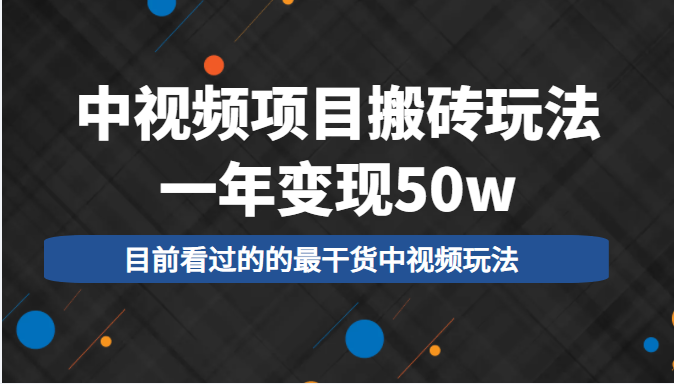 中视频项目搬砖玩法，一年变现50w，目前看过的的最干货中视频玩法-瀚海资源库