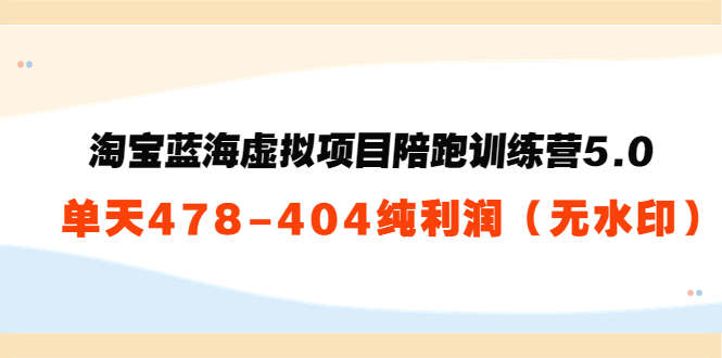 淘宝蓝海虚拟项目陪跑训练营5.0：单天478纯利润-瀚海资源库