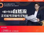 0粉0作品自然流正价起号及稳号全教程，专业自然流起号机构流程化教学（价值2980元）-瀚海资源库
