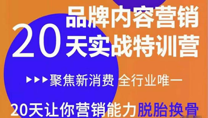 《内容营销实操特训营》20天让你营销能力脱胎换骨（价值3999）-瀚海资源库