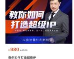 教你如何打造超级IP，抖音流量红利新机遇（价值980元）-瀚海资源库