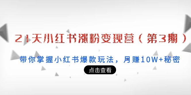 21天小红书涨粉变现营（第3期）：带你掌握小红书爆款玩法，月赚10W+秘密-瀚海资源库