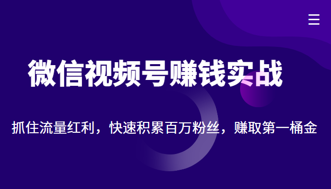 微信视频号赚钱实战：抓住流量红利，快速积累百万粉丝，赚取你的第一桶金-瀚海资源库