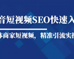 抖音短视频Seo搜索排名优化新手快速入门教程，实体商家短视频，精准引流实操课-瀚海资源库