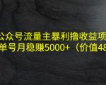 公众号流量主暴利撸收益项目，单人单号月稳赚5000+（价值480元）-瀚海资源库