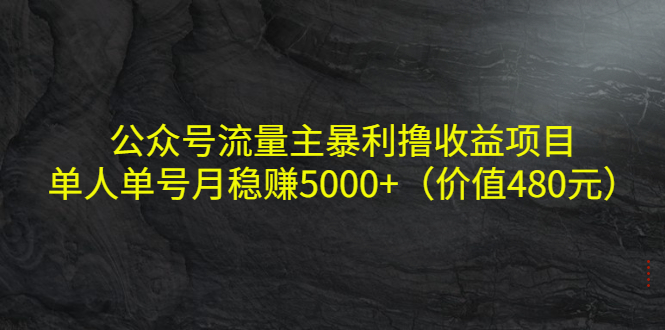 公众号流量主暴利撸收益项目，单人单号月稳赚5000+（价值480元）-瀚海资源库