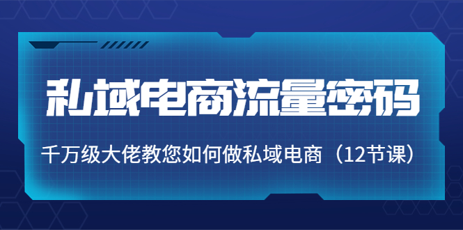 私域电商流量密码：千万级大佬教您如何做私域电商（12节课）-瀚海资源库