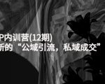 新媒体IP内训营(12期)，一套全新的“公域引流，私域成交”IP打法，直接带走-瀚海资源库