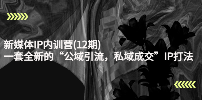 新媒体IP内训营(12期)，一套全新的“公域引流，私域成交”IP打法，直接带走-瀚海资源库