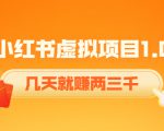 《小红书虚拟项目1.0》账号注册+养号+视频制作+引流+变现，几天就赚两三千-瀚海资源库