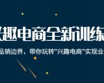 兴趣电商全新训练营：打破品销边界，带你玩转“兴趣电商“实现业务增长-瀚海资源库