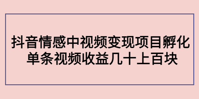副业孵化营第5期：抖音情感中视频变现项目孵化 单条视频收益几十上百-瀚海资源库