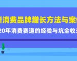 新消费品牌增长方法与案例精华课：20年消费赛道的经验与坑全收录-瀚海资源库