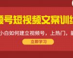 视频号短视频文案训练营：0基础小白如何建立视频号，上热门，能卖货！-瀚海资源库
