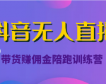 抖音无人直播带货赚佣金陪跑训练营（价值6980元）-瀚海资源库