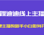 暴躁迪迪线上主播课，金牌主播教新手小白如何开播-瀚海资源库