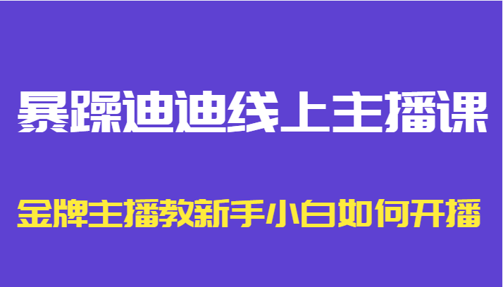 暴躁迪迪线上主播课，金牌主播教新手小白如何开播-瀚海资源库