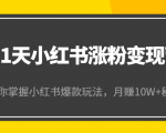 21天小红书涨粉变现营（第4期）：带你掌握小红书爆款玩法，月赚10W+秘密-瀚海资源库