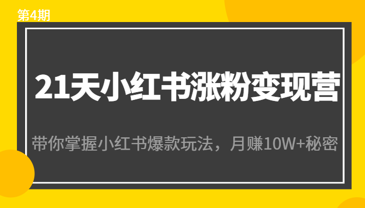 21天小红书涨粉变现营（第4期）：带你掌握小红书爆款玩法，月赚10W+秘密-瀚海资源库