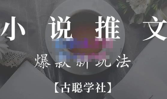 小说推文矩阵号群爆单新玩法，引流技巧+爆款实操+矩阵号玩法，百倍效益、百万播放秘笈-瀚海资源库