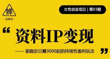 资料IP变现，能稳定日赚3000起的持续性盈利玩法-瀚海资源库
