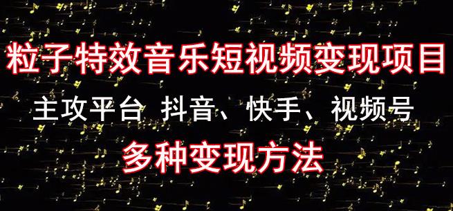 黄岛主《粒子特效音乐短视频变现项目》主攻平台抖音、快手、视频号多种变现方法-瀚海资源库