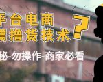 外面收费2980的全平台电商白嫖撸货技术（仅揭秘勿操作-商家防范必看）-瀚海资源库