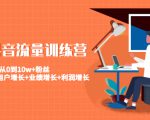 美业抖音流量训练营:从0到10w+粉丝 让你的门店用户增长+业绩增长+利润增长-瀚海资源库