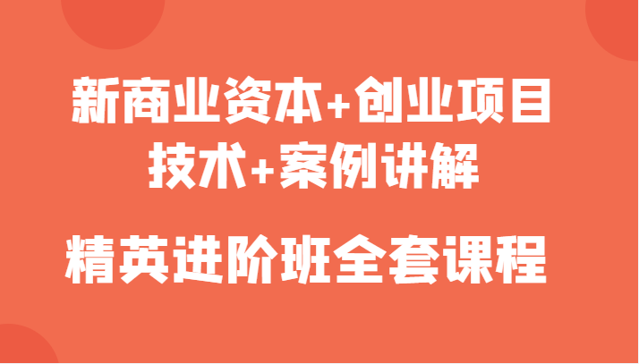 新商业资本+创业项目，技术+案例讲解，精英进阶班全套课程-瀚海资源库